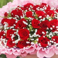 情侣送花送什么花 适合推荐的七种鲜花