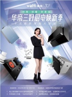 00后22岁!“质懒经济”催生“三好厨电”,好用好看好清洁