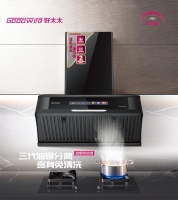小烟机大哲学|品质生活就从Goodwife好太太CXW-200-FL09开始