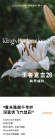 【领绣·菁华】女性家居审美,既能披星戴月也能享受生活