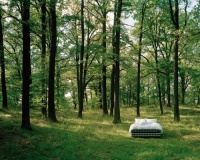 海丝腾百年绿色传承 织就地球生态底色