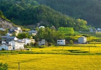 宅基地纠纷找哪个部门解决