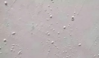 美巢400/600/800,为你的墙面装修增光添彩
