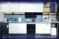 为何创牌不足2年的三翼鸟，就有了头部效应？