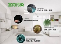 抓住夏天的小尾巴 教你如何快速除醛成功！