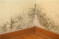 邓禄普防水强力来袭