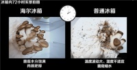 海尔感恩月:为用户幸福,主动接受挑战