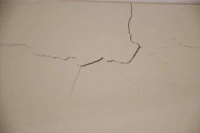 美巢墙锢:双向渗透,世界级环保,高效打造牢靠墙面