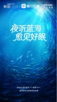 共邀喜马拉雅用户聆听治愈地球故事,斯丽比迪和一个地球OPF以“海洋哲学”愈睡眠
