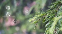梅雨季如何防止墙面发霉?一定要看米素总结的这篇防霉除霉攻略