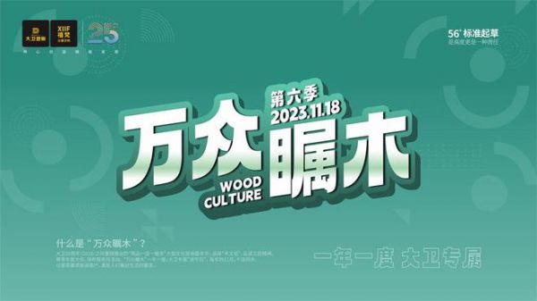 重磅 | “四大IP”亮相大卫25周年庆