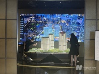 直言不讳“为了投资”!上海“90后”打新七次终于买到豪宅