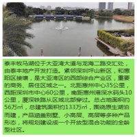 泰丰牧马湖,造城市间的致美生活,让您坐享快意人生