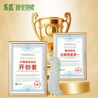 乐瓜睡觉抱枕守护国民睡姿健康,让更多人睡好觉