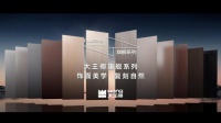 旗舰美学，饰界同享丨大王椰邀您共聚2025临沂木博会