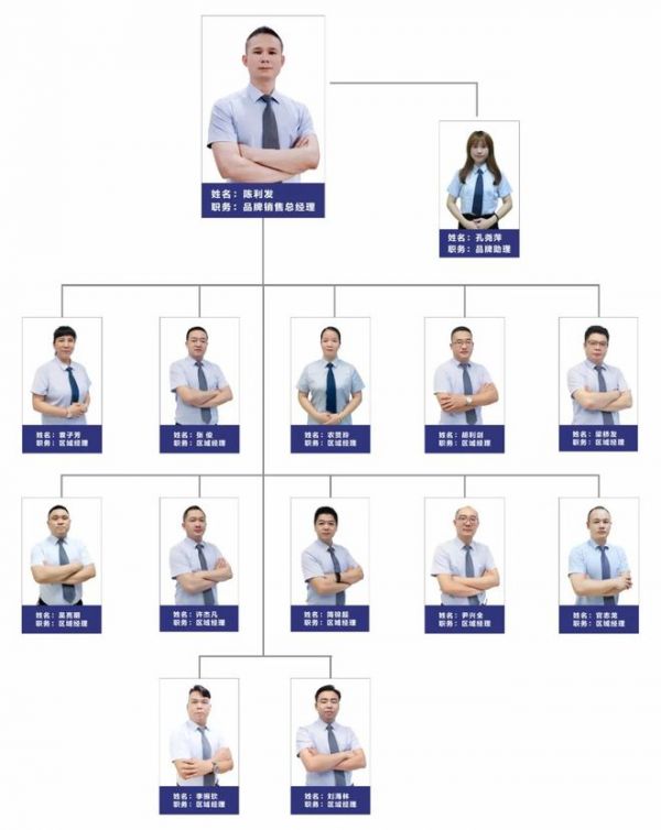 新品上市 | 陶瓷一线品牌秦皇达陶瓷「臻木·木纹」复刻自然,超越自然,重塑自然美学
