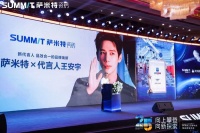 品牌代言人王安宇亮相，萨米特瓷砖25周年庆典现场揭幕新战略