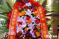 迭代升级再启新篇，梵客家装F13智享版整装重磅发布